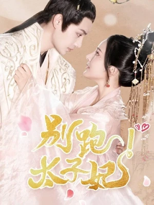 Đừng Chạy, Thái Tử Phi