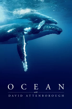 Ocean with David Attenborough - Ocean with David Attenborough (2025)